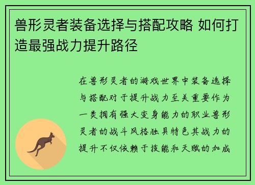 兽形灵者装备选择与搭配攻略 如何打造最强战力提升路径