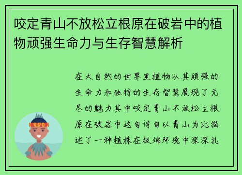 咬定青山不放松立根原在破岩中的植物顽强生命力与生存智慧解析